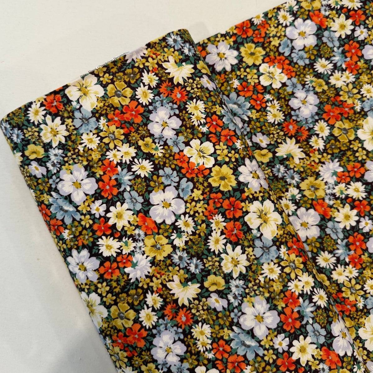 Ditsy Floral / Dandelion Persimmon Canvas