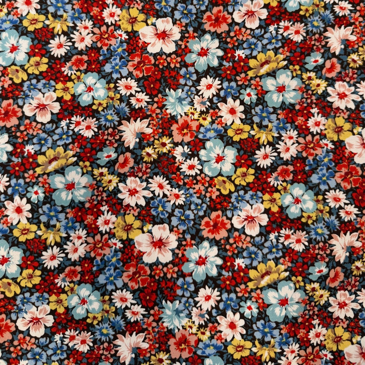 Ditsy Floral / Robin&#39;s Egg Ruby Canvas