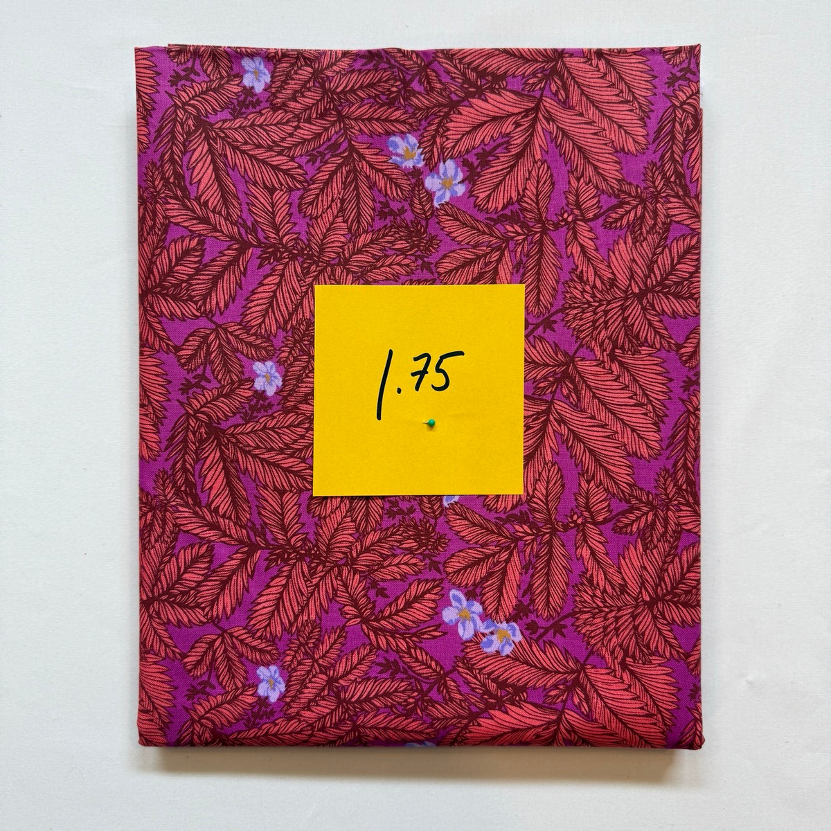 Remnant - no.2