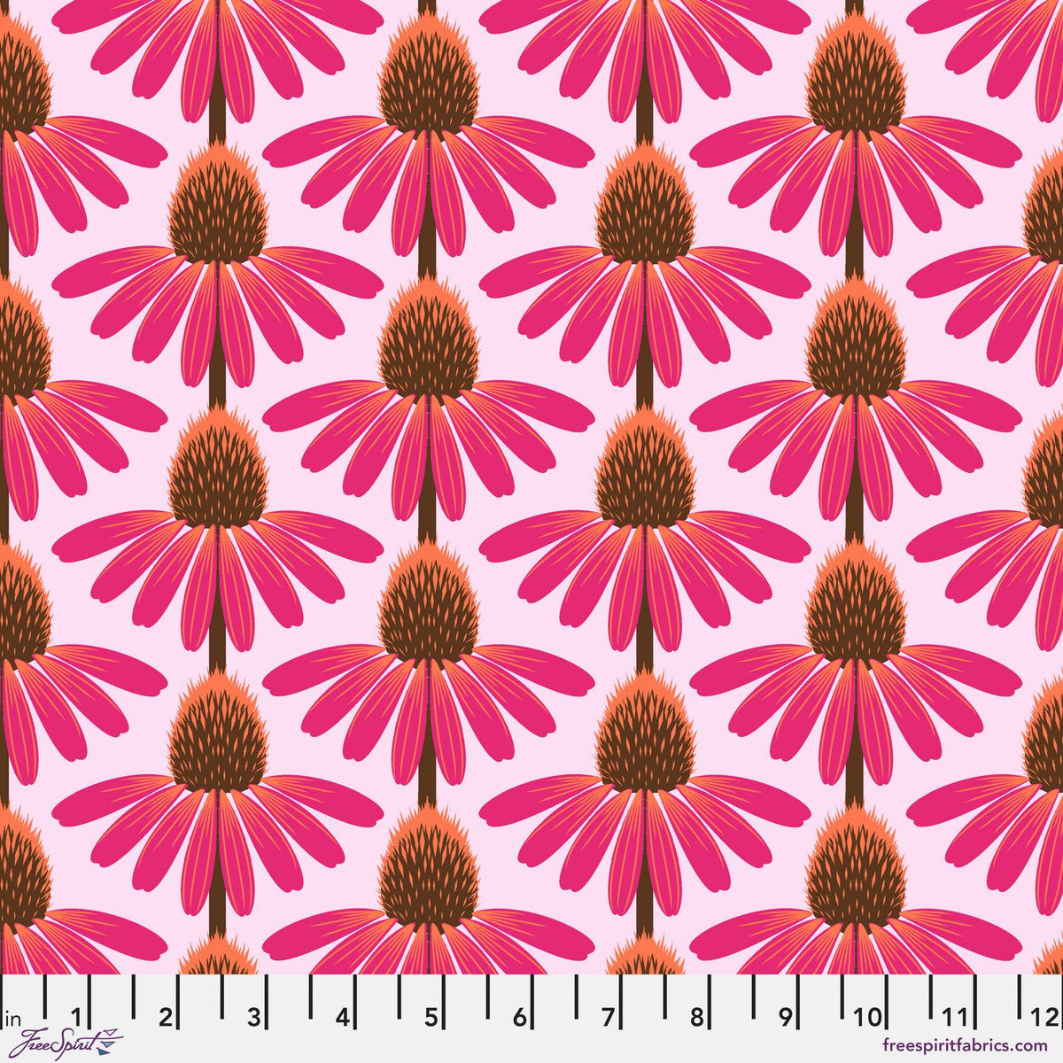 Echinacea / Maraschino