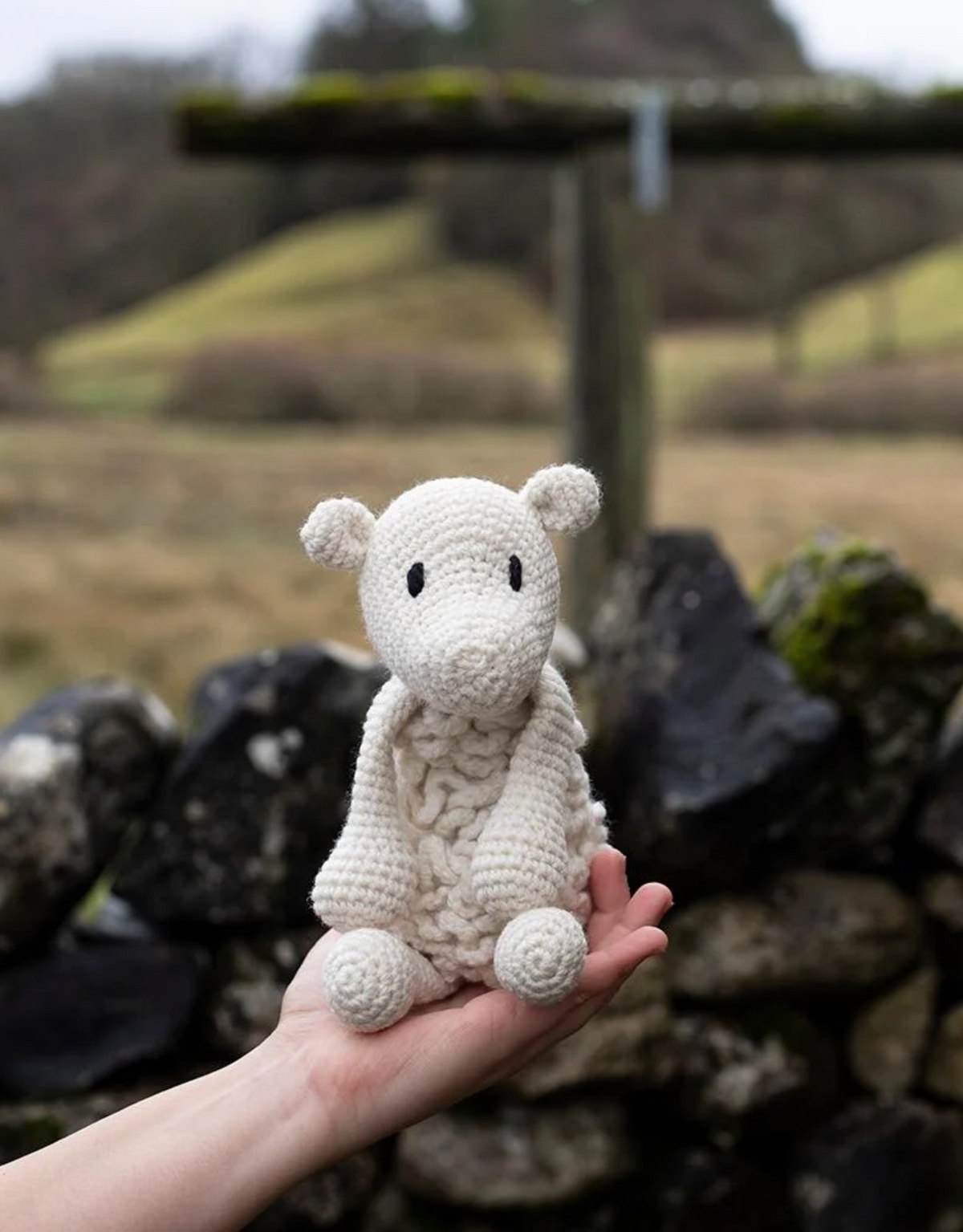 Simon the Sheep Kit