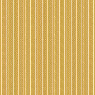 Stripe Yellow