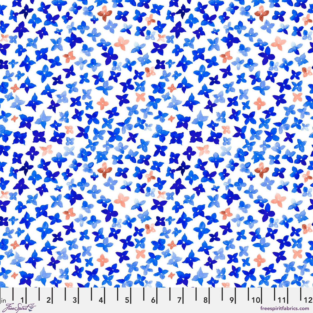Hydrangea / Multi